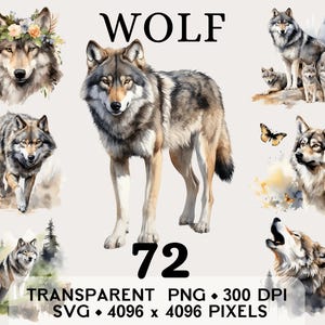 Clipart forêt de loup, loup gris sauvage forêt aquarelle Clip Art, conception de tasse et chemise autocollant animaux, téléchargement numérique imprimable PNG SVG
