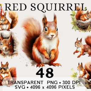Op de afbeelding: Waterverfillustraties van rode eekhoorns in verschillende poses. De afbeelding bevat de tekst "RED SQUIRREL" en "48". De eekhoorns worden afgebeeld met pluizige staarten en in verschillende omgevingen, waaronder een nest en met een bril.