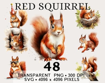 Red Squirrel Forest, Wild Woodland Watercolor Clip Art, Animal Sticker Mug and Shirt Design, Digital Printable Download PNG SVG