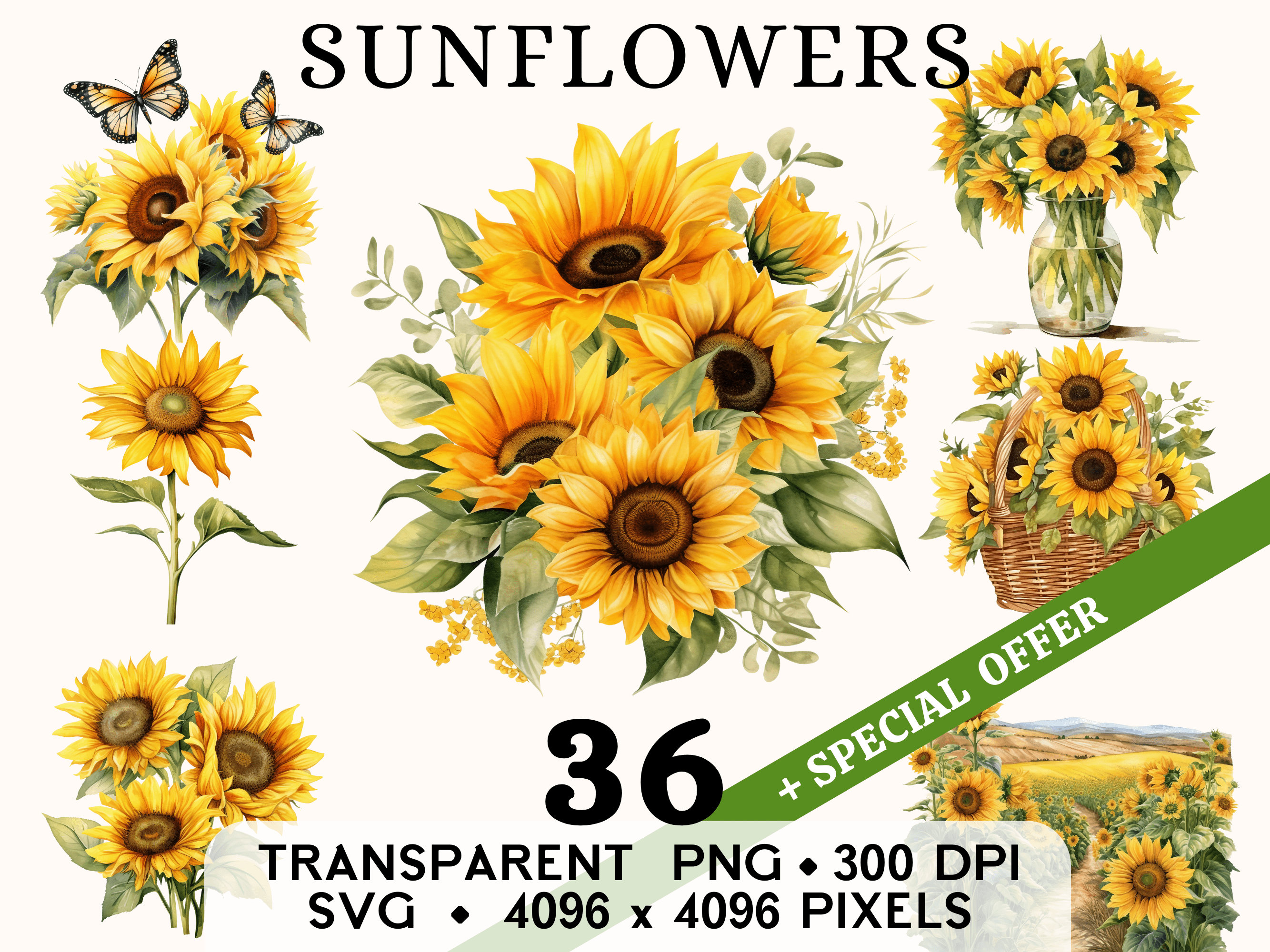 Sunflower Clipart, Cute Flower Watercolor Spring Clip Art, Floral Sticker Mug and Shirt Design, Digital Download, Printable PNG & SVG