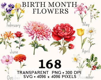 Birth Month Flower Clipart Bundle, Watercolor Birthflower Daisy Clip Art, Sticker Mug and Shirt Design, Digital Printable Download PNG SVG