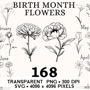 Imágenes prediseñadas de flores del mes de nacimiento, línea de arte floral de primavera Daisy Clip Art, diseño de taza y camisa de pegatina floral, descarga digital imprimible PNG SVG