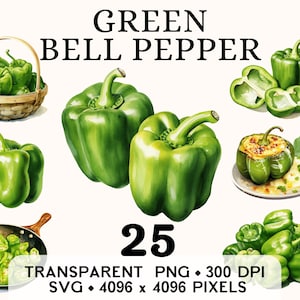 Clipart de poivron vert, aquarelle douce de légumes de la ferme, clipart alimentaire autocollant, tasse et chemise, téléchargement numérique imprimable PNG & SVG