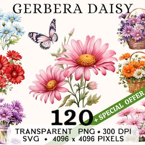 Gerbera Daisy Clipart, clipart aquarelle fleur rouge rose mignon, autocollant floral Mug et chemise, téléchargement numérique, PNG imprimable & SVG