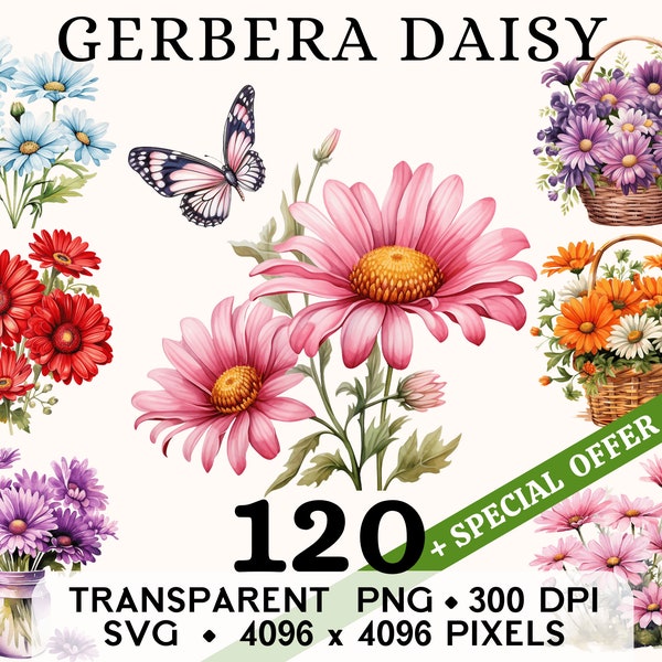 Gerbera Daisy Clipart, Cute Pink Red Flower Watercolor Clip Art, Floral Sticker Mug and Shirt Design, Digital Download, Printable PNG & SVG