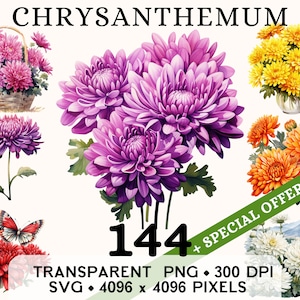 Clipart chrysanthème, clipart aquarelle fleur de mariage mignon, autocollant floral, tasse et chemise, téléchargement numérique, PNG imprimable & SVG