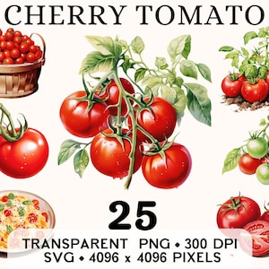 Clipart de tomate cherry, clip art de bebida saludable con acuarela de vegetales rojos, diseño de taza y camiseta con calcomanías de alimentos, descarga digital PNG SVG imprimible