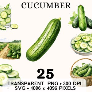 Clipart concombre, ferme légumes aquarelle boisson santé Clip Art, conception de tasse et chemise autocollant autocollant, téléchargement numérique, PNG imprimable & SVG