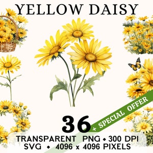 Gelbes Gänseblümchen Clipart, niedliche Blumen Aquarell Margerite Clip Art, Blumenaufkleber Tasse und Shirt Design, digitaler Download, druckbare PNG und SVG
