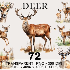 Herten bos fawn, wilde bossen aquarel illustraties, dierlijke sticker mok en shirt ontwerp, digitale afdrukbare download png SVG