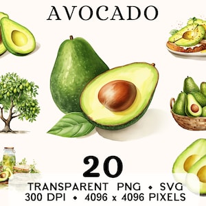 Imágenes Prediseñadas de aguacate, imágenes prediseñadas de cesta de aguacate de acuarela de frutas, diseño de taza y camisa de pegatina de comida exótica, descarga digital, PNG y SVG imprimibles