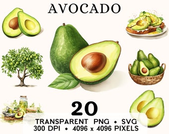 Avocado Clipart, Fruit Aquarel Avocado Mand Clip Art, Exotisch Voedsel Sticker Mok en Shirt Design, Digitale Download, Afdrukbare PNG & SVG