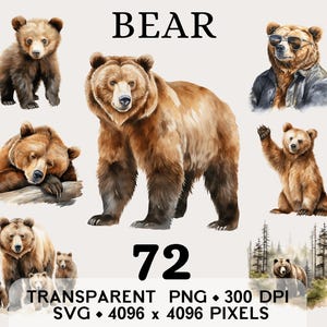 Clipart di orso nella foresta, clipart di orso bruno nella natura selvaggia, design di tazza e maglietta con adesivi di animali, download digitale stampabile PNG SVG