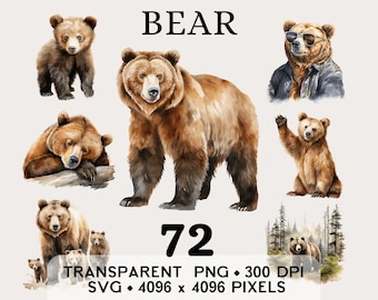 Clipart de oso de bosque, clip art de acuarela de oso pardo en un bosque salvaje, diseño de taza y camiseta con pegatinas de animales, descarga digital PNG SVG imprimible