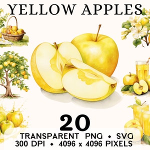 Imágenes prediseñadas de manzana amarilla, arte clip de flor de manzana dorada de acuarela de fruta, diseño de taza y camisa de pegatina de comida, descarga digital, PNG y SVG imprimibles
