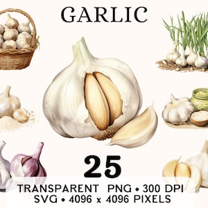 Clipart ail, aquarelle de légumes de la ferme et clous de girofle, clipart, autocollant alimentaire, tasse et chemise, téléchargement numérique, PNG imprimable & SVG