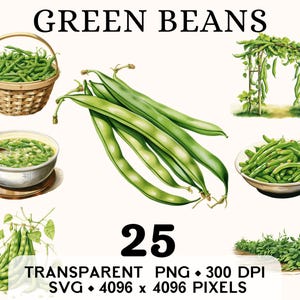 Haricots verts Clipart, aquarelle de légumes de la ferme, art de la soupe aux haricots, autocollant alimentaire, tasse et chemise, téléchargement numérique imprimable PNG SVG
