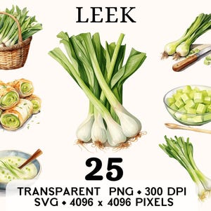 Clipart jardin de poireau, aquarelle de légumes de la ferme, clipart d'ail des bois, autocollant alimentaire, tasse et chemise, téléchargement numérique, PNG imprimable & SVG