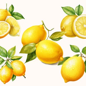 Set of 5 unique Lemon Clipart Bundle