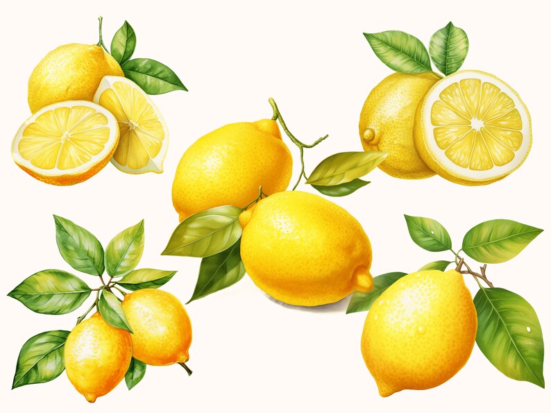Set of 5 unique Lemon Clipart Bundle