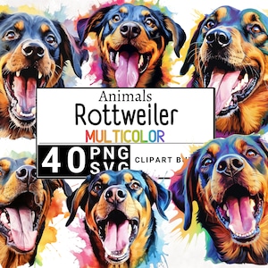 Rottweiler Dog Portrait Watercolor, Puppy Clip Art, Pet Clipart Bundle, Colorful Splash, Commercial use, Digital Download, 4K PNG & SVG