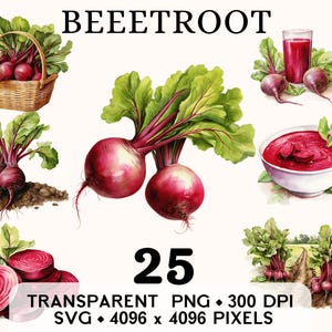 Clipart de betterave rouge, aquarelle de légumes de la ferme, boisson à la betterave et art de la soupe, autocollant alimentaire, tasse et chemise, téléchargement numérique imprimable PNG SVG