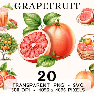 Clipart z grejpfrutem, akwarela z sokiem grejpfrutowym, grafika liniowa, naklejka na jedzenie, projekt kubka i koszulki, pobieranie cyfrowe, do druku w formacie PNG i SVG