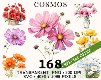 Cosmos Clipart, Cute Wedding Daisy-like Flower Watercolor Clip Art, Floral Sticker Mug and Shirt Design, Printable Digital Download PNG SVG