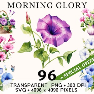 Morning Glory clipart, Ipomoea Spring Flower aquarel illustraties, bloemen sticker mok en shirt design, digitale download, afdrukbare png en SVG