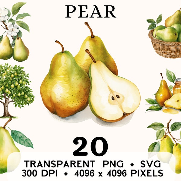 Pear Clipart, Fruit Watercolor Pear Basket Clip Art, Exotic Food Sticker Mug and Shirt Design, Digital Download, Printable PNG & SVG