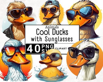 May include: A set of 40 digital clipart images featuring cartoon ducks wearing sunglasses. The ducks are in various poses and have different colored sunglasses. The text "Animals Cool Ducks with Sunglasses 40 PNG SVG CLIPART" is displayed on a white background.