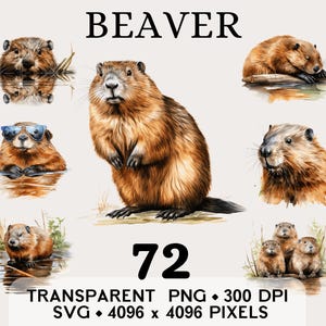 May include: Watercolor illustrations of beavers in various poses. One beaver stands upright, while others swim or rest. The word "BEAVER" is at the top, with the number "72" below. Text indicates the image is transparent PNG, 300 DPI, and SVG, 4096 x 4096 pixels.