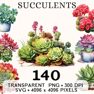 Imágenes prediseñadas de plantas suculentas, clip art de acuarela de Aeonium, diseño de taza y camisa de pegatina de cactus floral, descarga digital imprimible PNG SVG