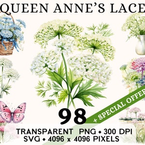 Clipart de renda da rainha Anne, lindo clipart de flor de primavera em aquarela, design de caneca e camisa com adesivo floral, download digital para impressão PNG SVG