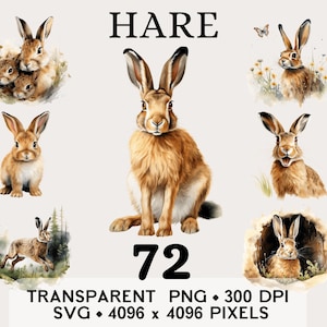 May include: A collection of watercolour illustrations featuring hares. The image includes a large hare, a group of baby hares, and hares in natural settings. The word "HARE" is at the top, and the number "72" is in the center. The image also includes text about the file type and resolution.