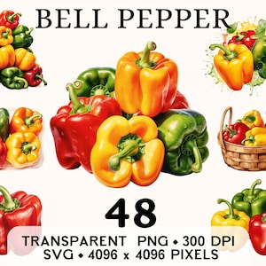 Clipart de poivron, aquarelle de légumes de la ferme, paprika, clipart, autocollant alimentaire, tasse et chemise, téléchargement numérique imprimable PNG & SVG