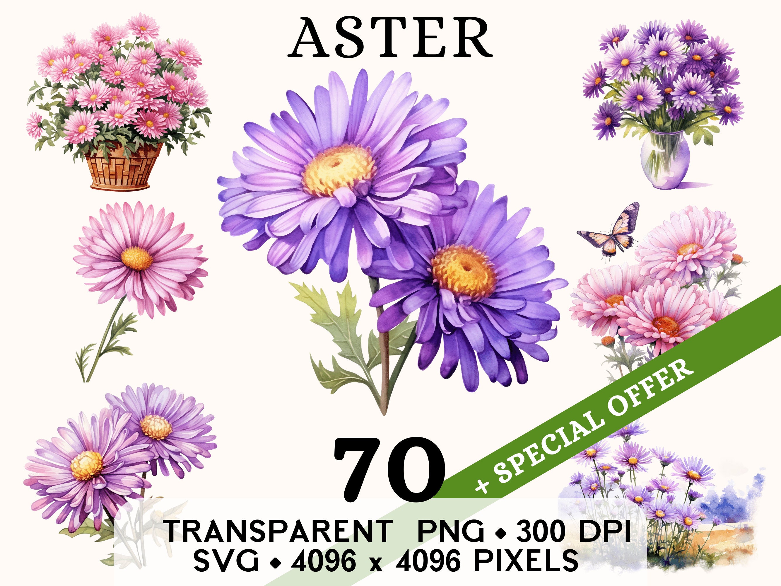 Aster Clipart, Cute Wedding Spring Daisy Flower Watercolor Clip Art, Floral Sticker Mug and Shirt Design, Digital Printable Download PNG SVG