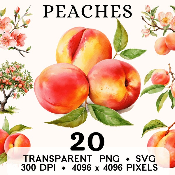 Peach Clipart, Fruit Watercolor Peach Flower And Tree Clip Art, Food Sticker Mug and Shirt Design, Digital Download, Printable PNG & SVG