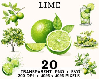 Lime Clipart, Fruit Watercolor Lemon Drink Clip Art, Basket Food Sticker Mug and Shirt Design, Digital Download, Printable PNG & SVG