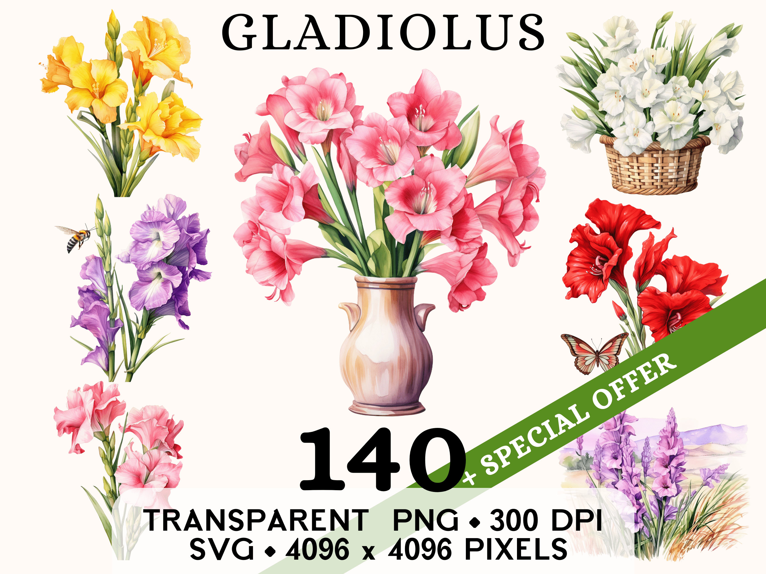 Gladiool clipart, schattige gladjes bruiloft bloem aquarel illustraties, bloemen sticker mok en shirt design, afdrukbare digitale download png SVG