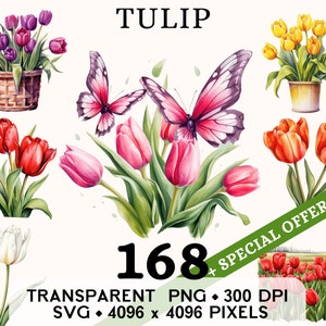 Clipart tulipe, mignon mariage printemps avril fleur aquarelle Clip Art, autocollant floral Mug et chemise, téléchargement numérique imprimable PNG SVG