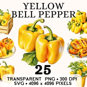 Clipart poivron jaune, clipart doux aquarelle de légumes de la ferme, conception de tasse et chemise autocollant alimentaire, téléchargement numérique PNG SVG imprimable