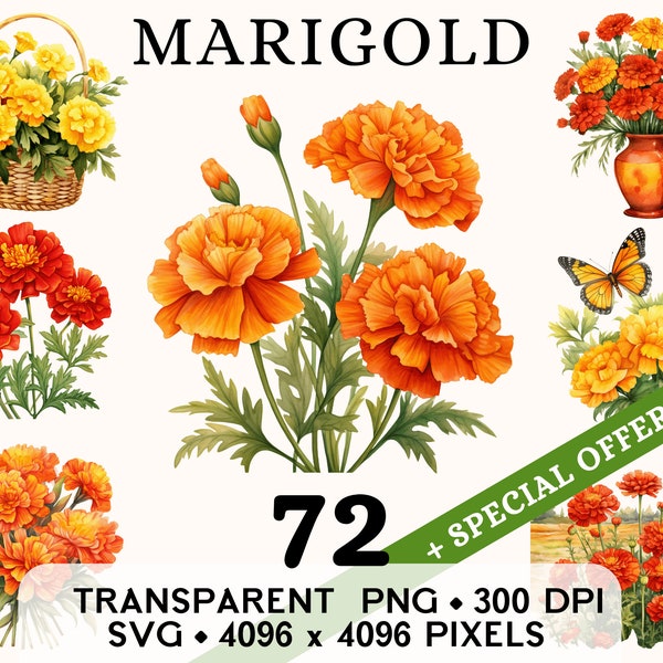 Marigold Clipart, Cute Wedding Tagetes Flower Watercolor Clip Art, Floral Sticker Mug and Shirt Design, Digital Download, Printable PNG SVG