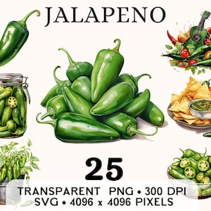 Clipart jalapenos, légumes aquarelle piment épicé Clip Art, conception de tasse et chemise autocollant autocollant, téléchargement numérique imprimable PNG & SVG