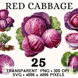Rotkohl Clipart, Bauernhof Gemüse Aquarell Lilakohlsuppe, Essen Aufkleber Tasse und Shirt Design, druckbare digitaler Download PNG SVG