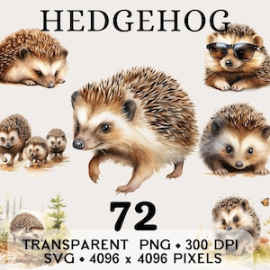 May include: Watercolor illustrations of hedgehogs in various poses. The image includes the word "HEDGEHOG" at the top and the number "72" in the center. Additional text indicates the file type and resolution: TRANSPARENT PNG • 300 DPI SVG • 4096 x 4096 PIXELS.