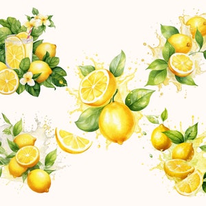 Set of 5 unique Lemon Clipart Bundle