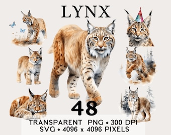 Lynx Clipart Forest, Wild Bobcat Woodland Watercolor Clip Art, Animal Sticker Mug and Shirt Design, Digital Printable Download PNG SVG