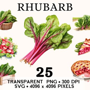 Clipart de ruibarbo, clipart de bebida saudável de aquarela de vegetais de torta doce, design de caneca e camisa de adesivo de comida, download digital PNG SVG para impressão