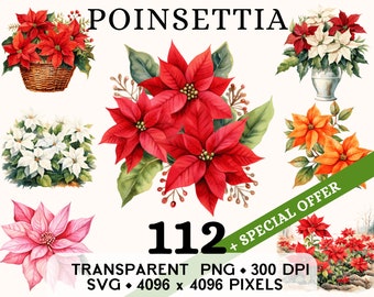 Poinsettia Clipart, Cute Christmas Flower Watercolor Clip Art, Floral Sticker Mug and Shirt Design, Digital Download, Printable PNG & SVG